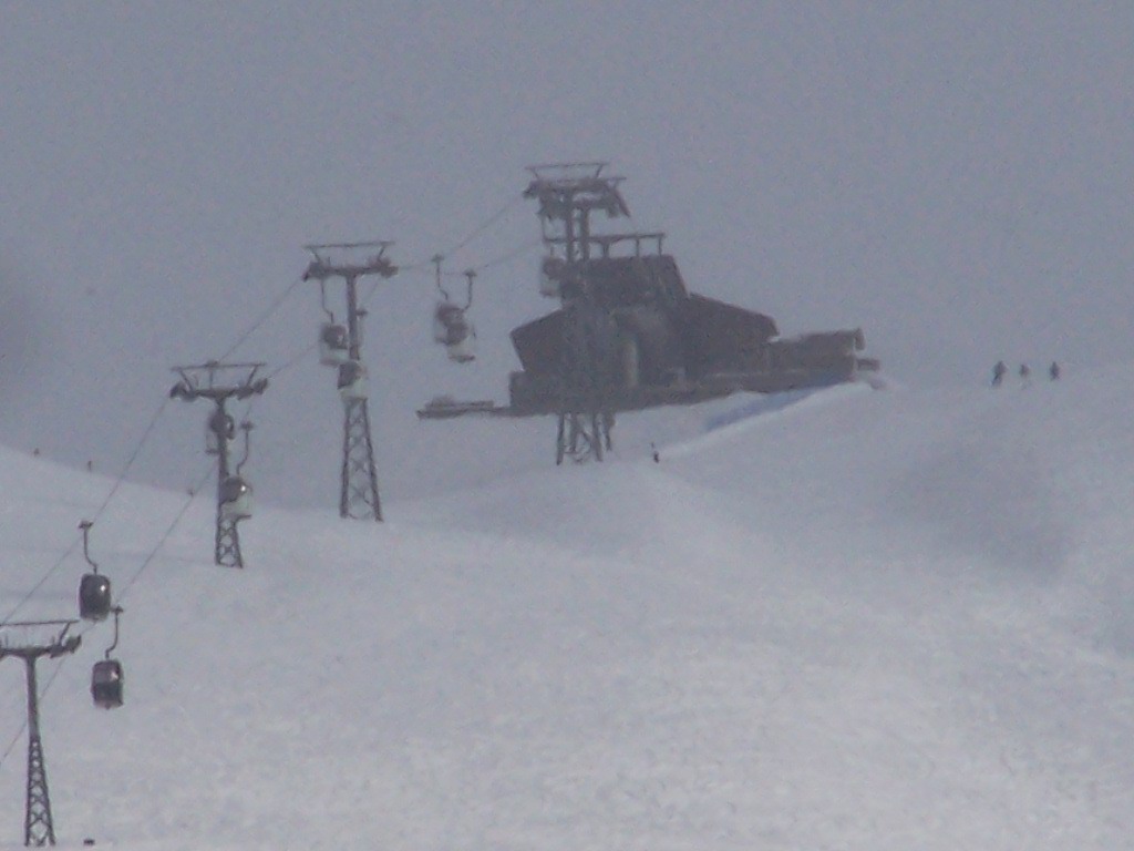 100_9839.JPG